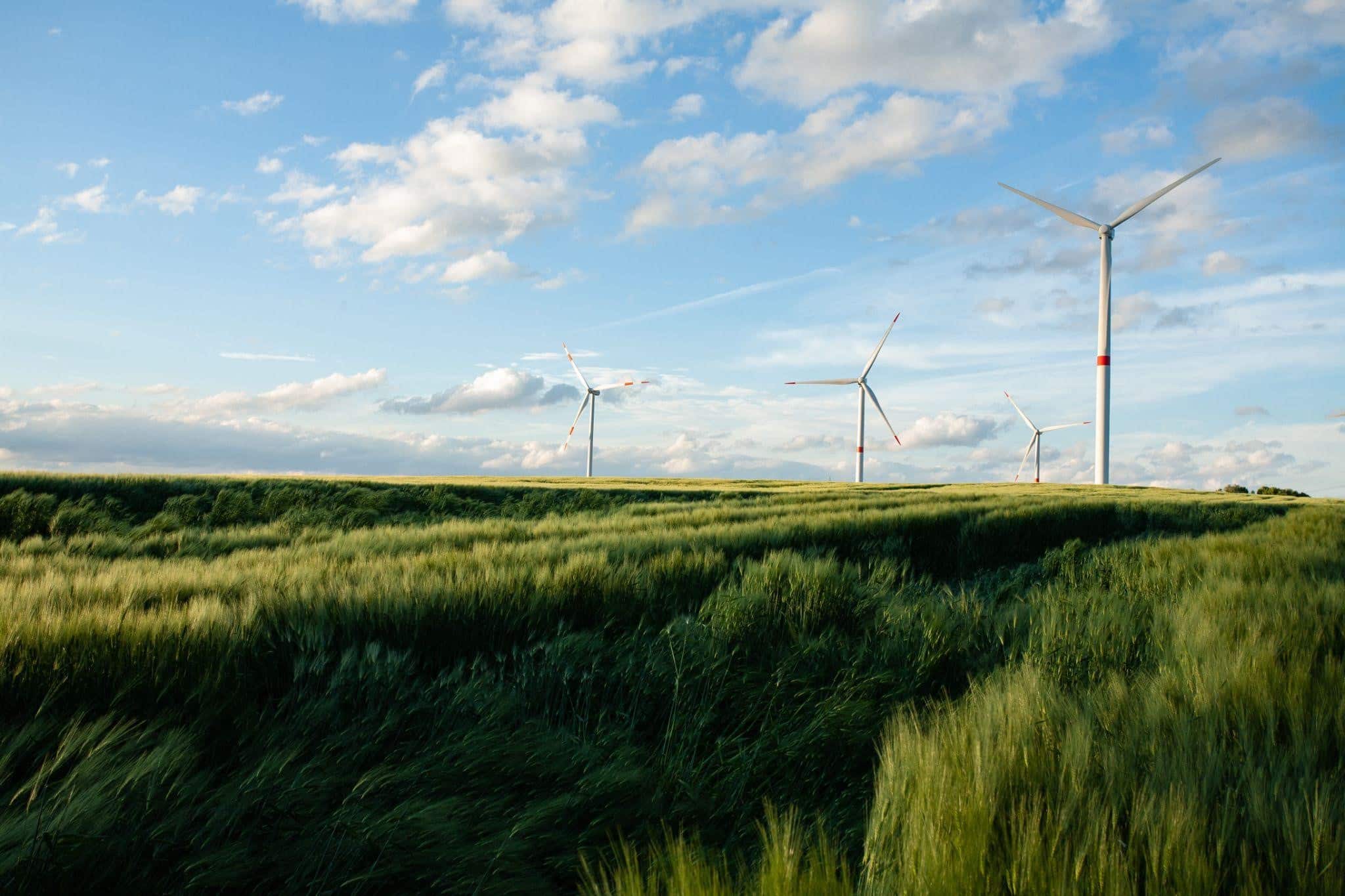 Wind Turbines Placed in a Large Green Field Generating Green Energy