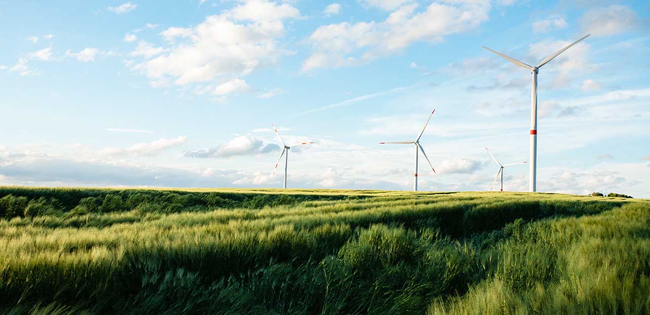 Wind Turbines Placed in a Large Green Field Generating Green Energy